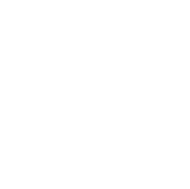 Soil Association Organic Logo